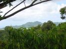 Kuilau Ridge Trail